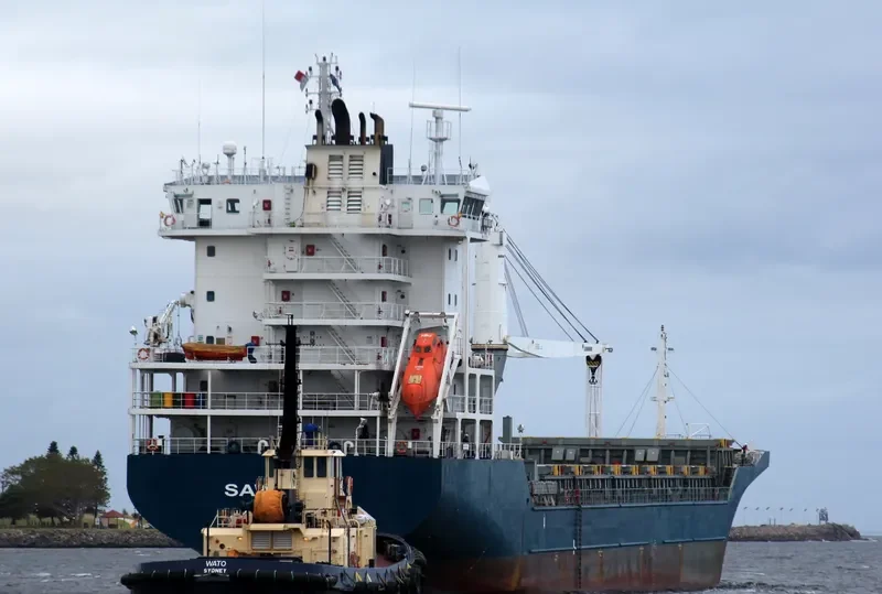 BBC SINGAPORE Container Ship IMO 9351373 photo 2