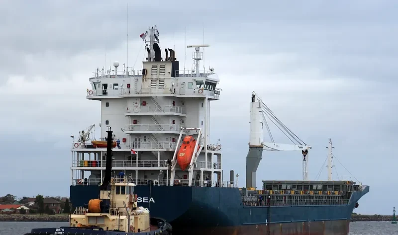 BBC SINGAPORE Container Ship IMO 9351373 photo 3
