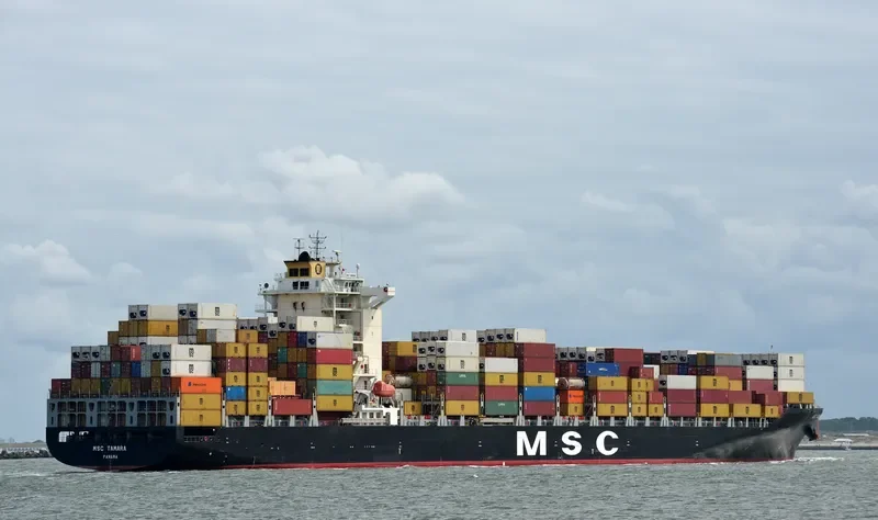 MSC TAMARA Container Ship IMO 9351579