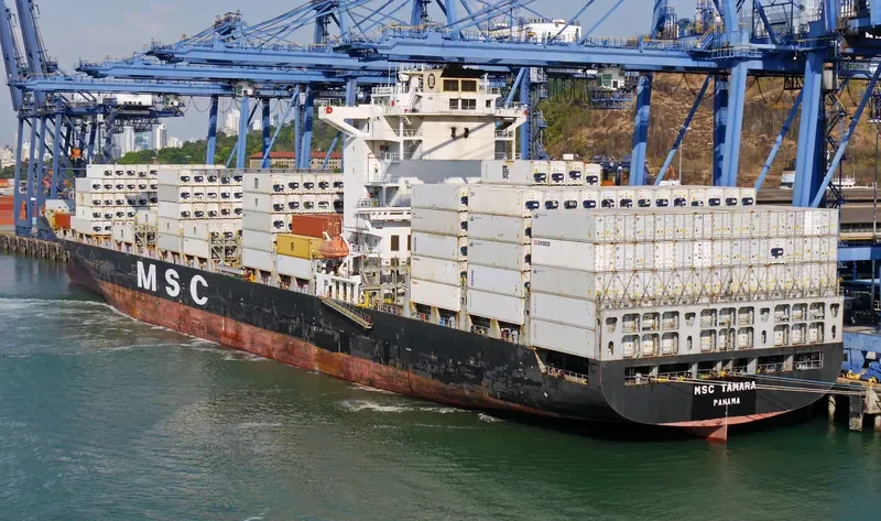 MSC TAMARA Container Ship IMO 9351579 photo 2