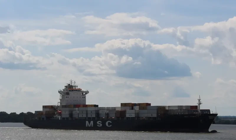 MSC TAMARA Container Ship IMO 9351579 photo 4