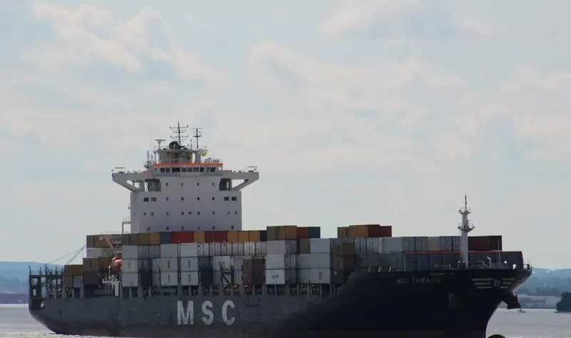 MSC TAMARA Container Ship IMO 9351579 photo 8