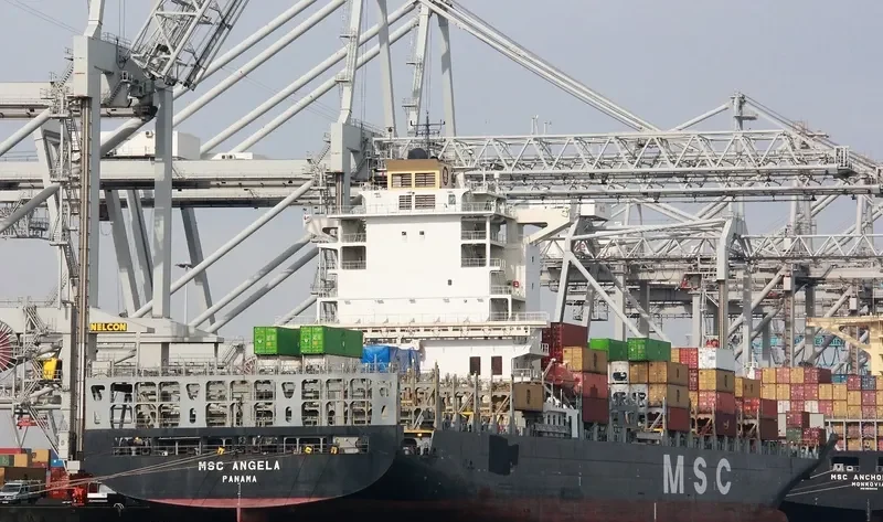 MSC ANGELA Container Ship IMO 9351593