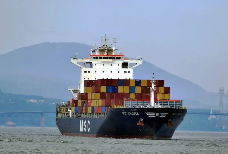 MSC ANGELA Container Ship IMO 9351593 photo 5