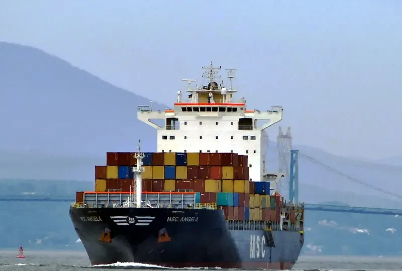 MSC ANGELA Container Ship IMO 9351593 photo 6