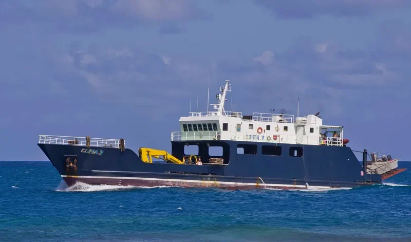 COBIA III General Cargo IMO 9351701