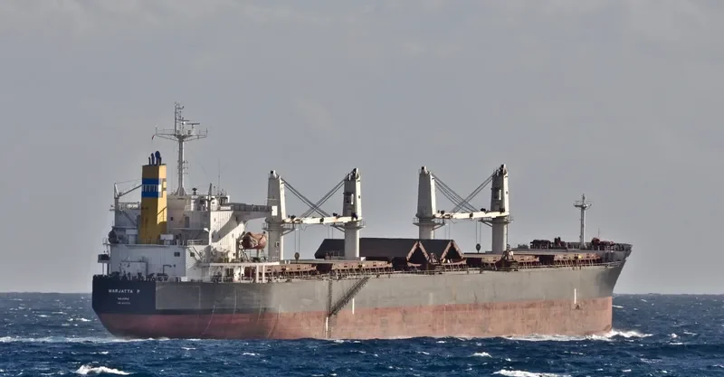 MEGHNA ROSE Bulk Carrier IMO 9351725 photo 2