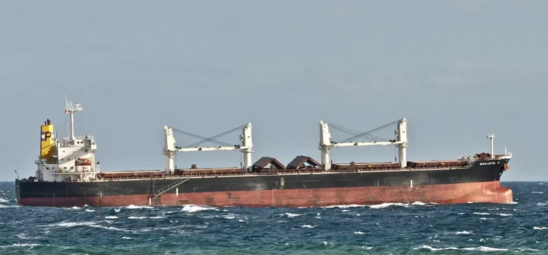 MEGHNA ROSE Bulk Carrier IMO 9351725 photo 3