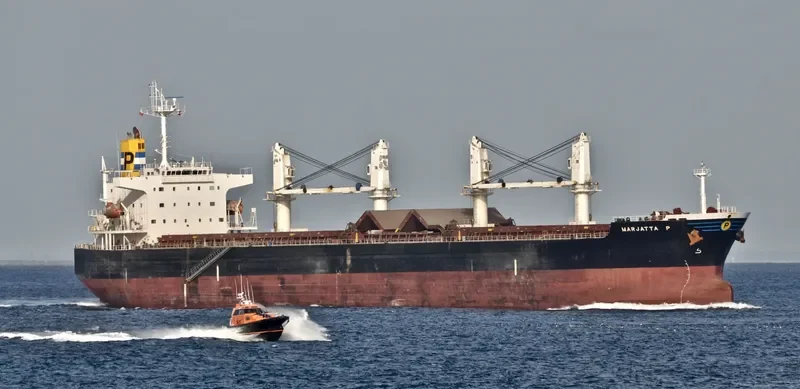 MEGHNA ROSE Bulk Carrier IMO 9351725 photo 4