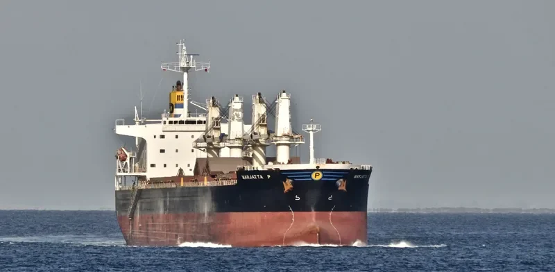 MEGHNA ROSE Bulk Carrier IMO 9351725 photo 5