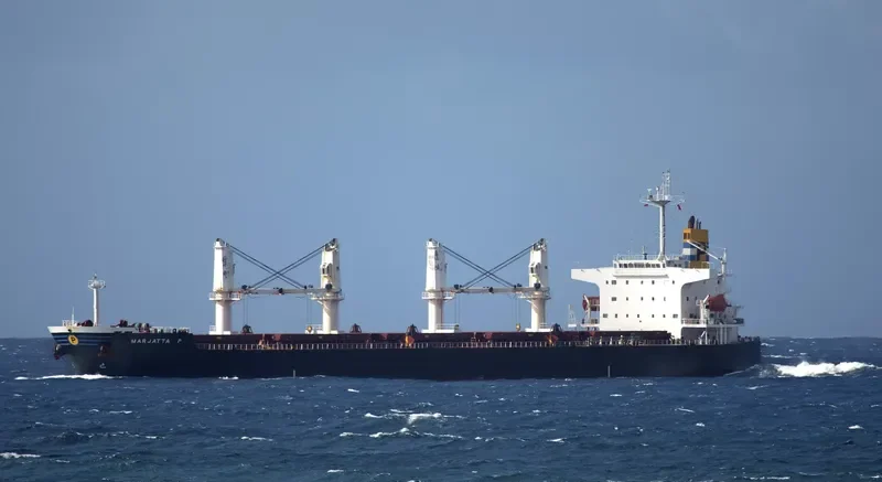MEGHNA ROSE Bulk Carrier IMO 9351725 photo 6