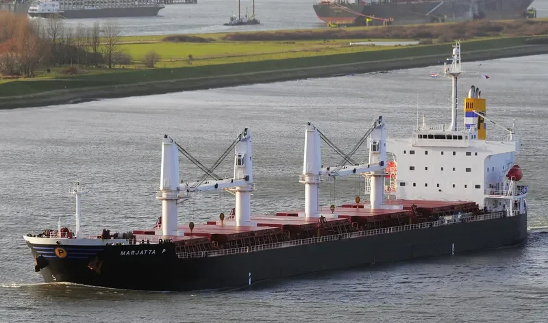 MEGHNA ROSE Bulk Carrier IMO 9351725 photo 7