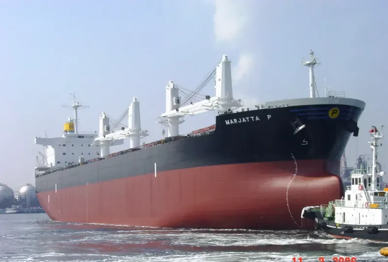 MEGHNA ROSE Bulk Carrier IMO 9351725 photo 9