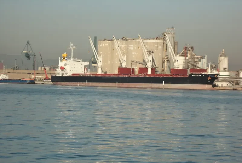 MEGHNA ROSE Bulk Carrier IMO 9351725 photo 10