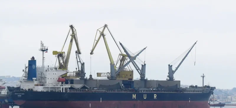 AFRICAN BLUE CRANE Bulk Carrier IMO 9351737