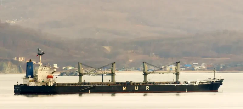 AFRICAN BLUE CRANE Bulk Carrier IMO 9351737 photo 2