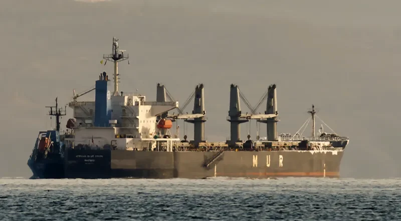 AFRICAN BLUE CRANE Bulk Carrier IMO 9351737 photo 3