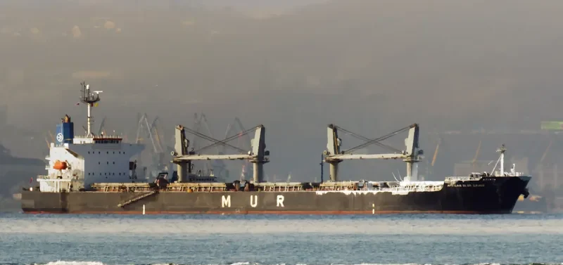 AFRICAN BLUE CRANE Bulk Carrier IMO 9351737 photo 4