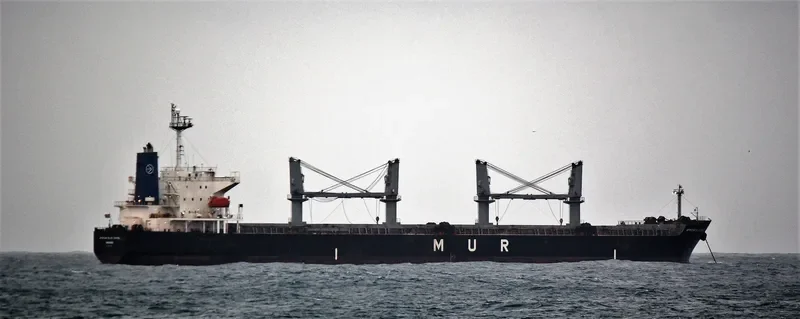 AFRICAN BLUE CRANE Bulk Carrier IMO 9351737 photo 5