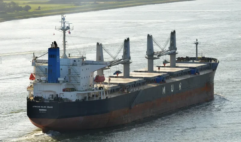 AFRICAN BLUE CRANE Bulk Carrier IMO 9351737 photo 6