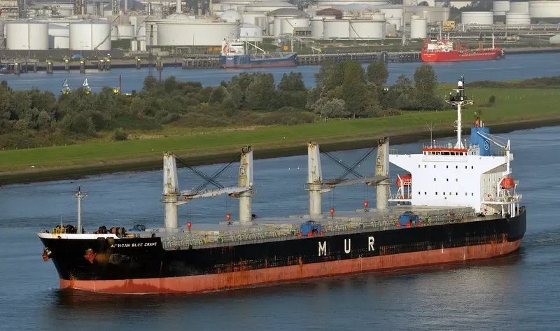AFRICAN BLUE CRANE Bulk Carrier IMO 9351737 photo 8