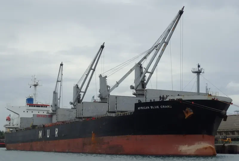 AFRICAN BLUE CRANE Bulk Carrier IMO 9351737 photo 9