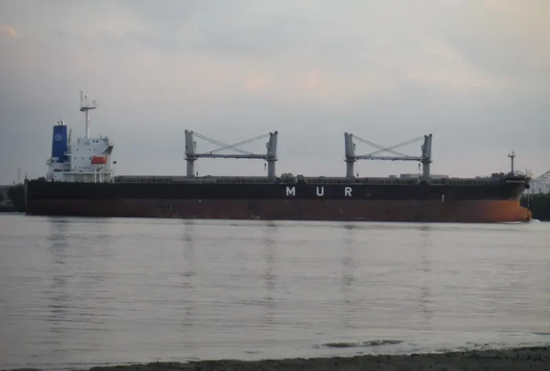 AFRICAN BLUE CRANE Bulk Carrier IMO 9351737 photo 10