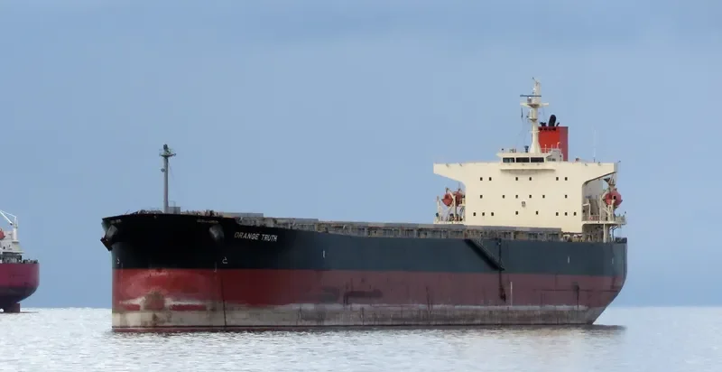 PONENTE Bulk Carrier IMO 9351763 photo 2