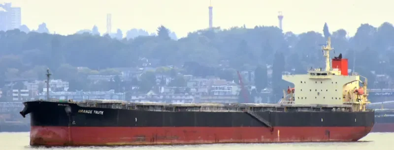 PONENTE Bulk Carrier IMO 9351763 photo 3