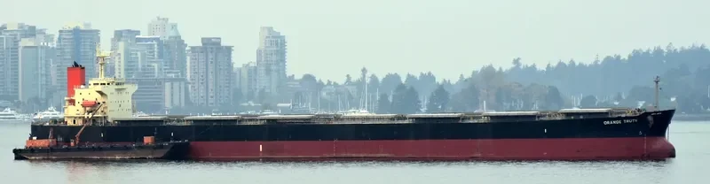 PONENTE Bulk Carrier IMO 9351763 photo 4