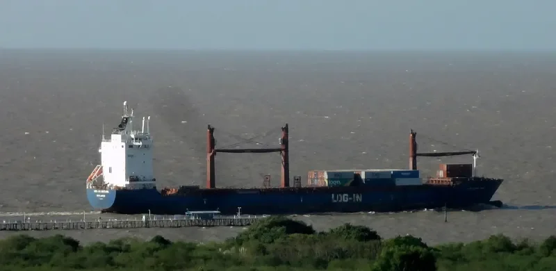 LOG IN PANTANAL Container Ship IMO 9351799 photo 2