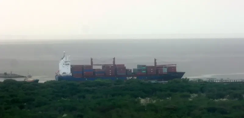LOG IN PANTANAL Container Ship IMO 9351799 photo 5