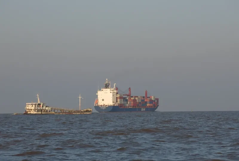 LOG IN PANTANAL Container Ship IMO 9351799 photo 7