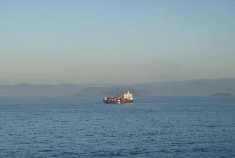 LOG IN PANTANAL Container Ship IMO 9351799 photo 9