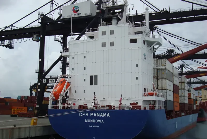 LOG IN PANTANAL Container Ship IMO 9351799 photo 10