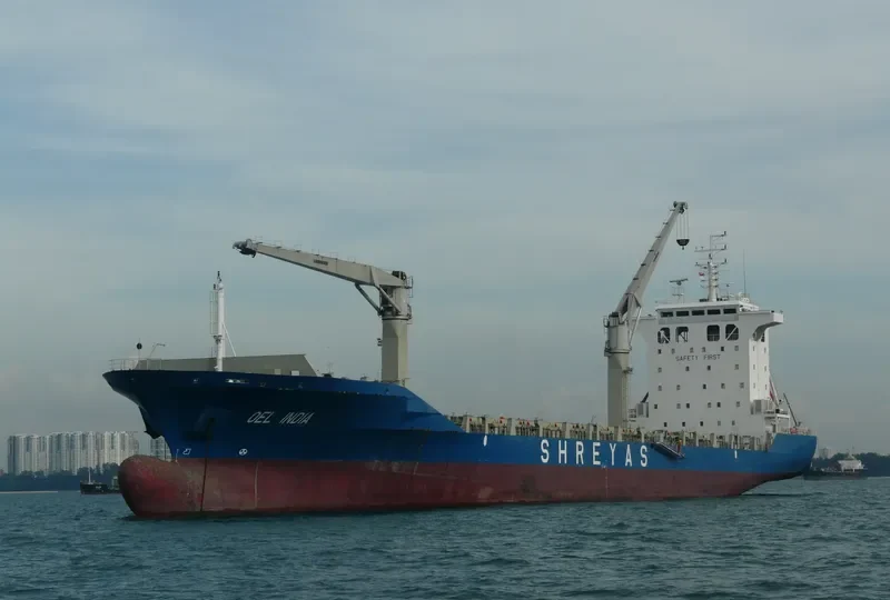 OEL INDIA Container Ship IMO 9351816 photo 6