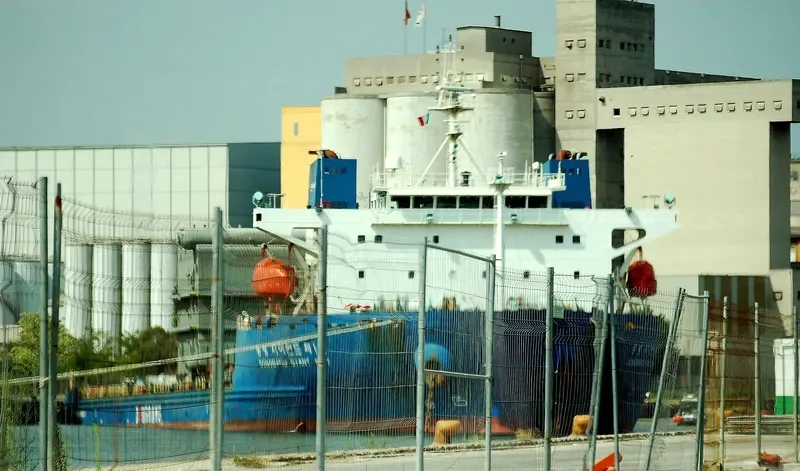 DONGBANG GIANT NO.1 General Cargo IMO 9351933 photo 7