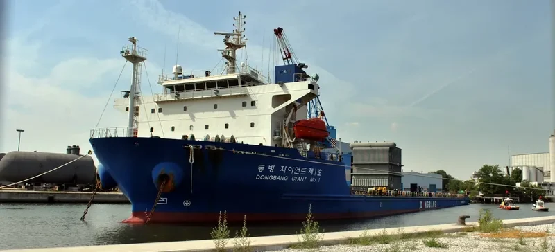 DONGBANG GIANT NO.1 General Cargo IMO 9351933 photo 10