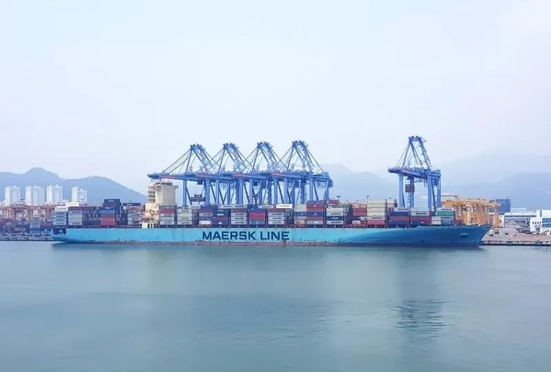 MAERSK SAVANNAH Container Ship IMO 9352028