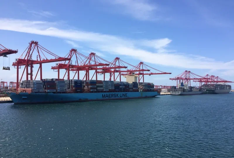 MAERSK SALINA Container Ship IMO 9352030
