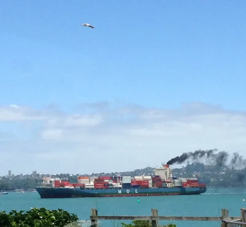NAVIOS DESTINY Container Ship IMO 9352418 photo 5