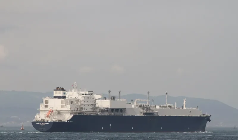 GASLOG SAVANNAH General Cargo IMO 9352860 photo 3