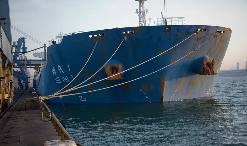 SHI DAI 1 Bulk Carrier IMO 9352949 photo 2