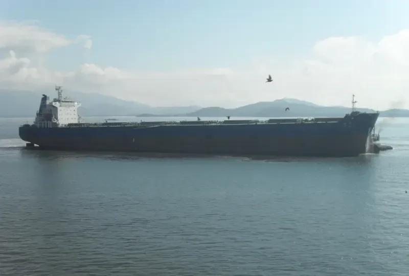 SHI DAI 1 Bulk Carrier IMO 9352949 photo 3