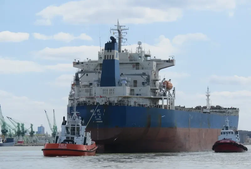 SHI DAI 1 Bulk Carrier IMO 9352949 photo 5