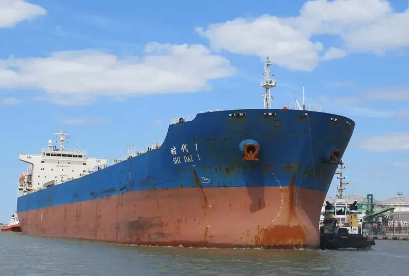 SHI DAI 1 Bulk Carrier IMO 9352949 photo 7