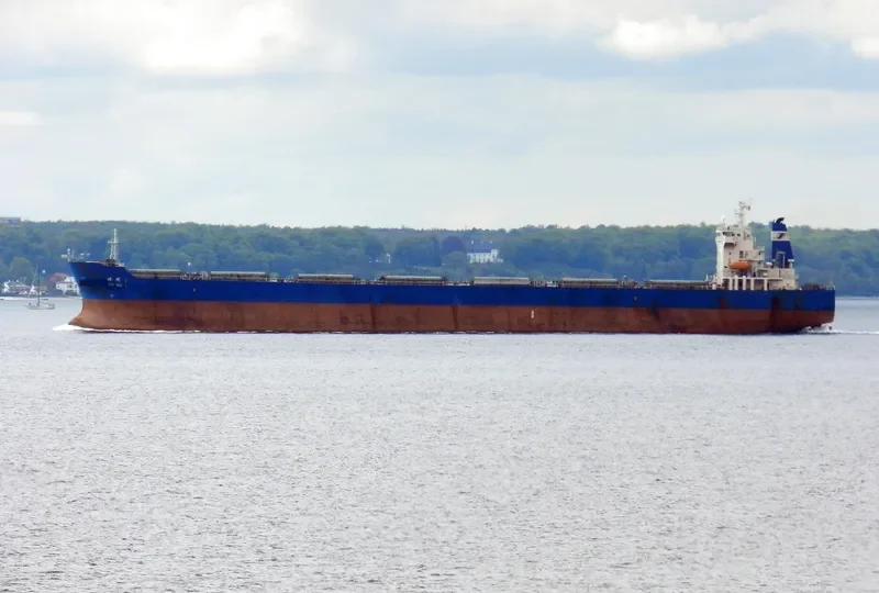 SHI DAI 1 Bulk Carrier IMO 9352949 photo 8