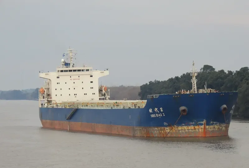 SHI DAI 2 Bulk Carrier IMO 9352951 photo 3