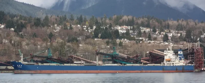 SHI DAI 2 Bulk Carrier IMO 9352951 photo 4