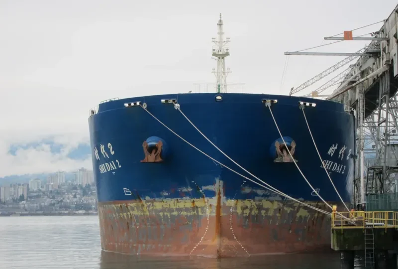 SHI DAI 2 Bulk Carrier IMO 9352951 photo 6
